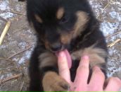 Іруся Жихарєва фотография #18 (источник - https://vk.com/id23179556)