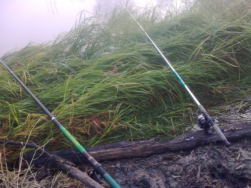 Альберт Туз фотография #45