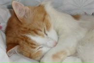 Фотография Мохамед Ксении