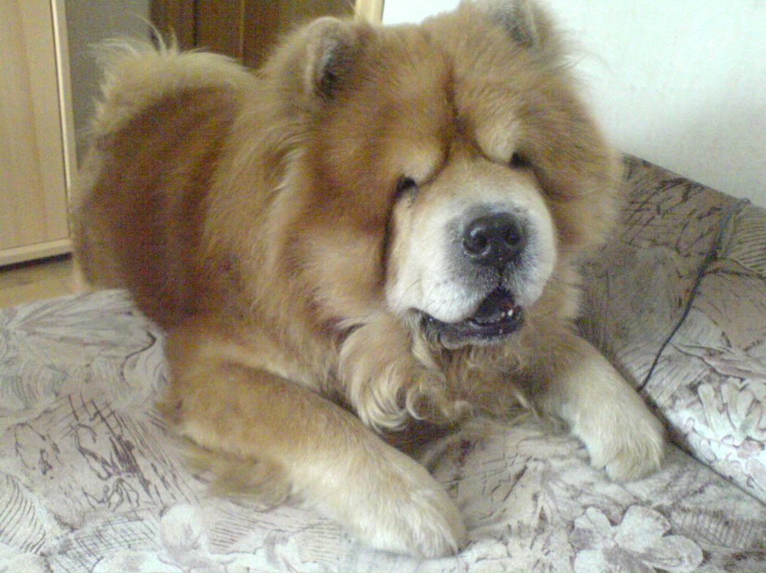 Слава Стрыгин фотография #2