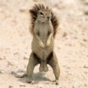 Фотография Баширова Виталия