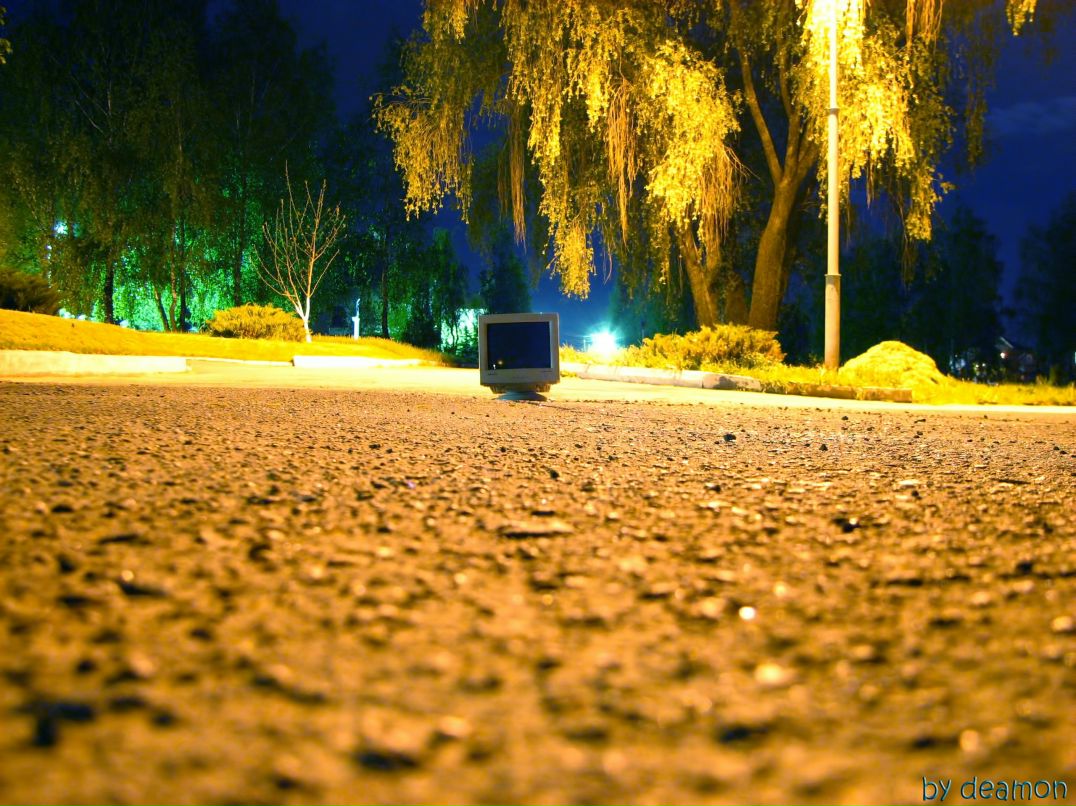 Дмитрий North фотография #32