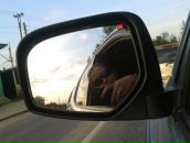 Фотография Ирванёвой Анастасии