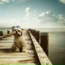 Фотография Grebenkova Mari