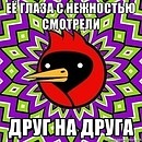 Катько Бирюкова фотография #31 (источник - https://vk.com/id26086263)