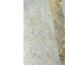 Іра Іруся фотография #20 (источник - https://vk.com/id30112160)