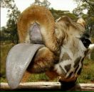 Оля Котлінська фотография #50 (источник - https://vk.com/id50578680)