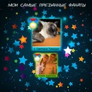 Андрій Коваль фотография #24 (источник - https://vk.com/id116192838)