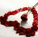 Еріка Родіс фотография #19 (источник - https://vk.com/id158601470)