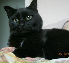 Фотография Крылатовой Светланы