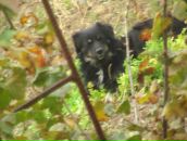 Костя Бакулін фотография #10 (источник - https://vk.com/id119816396)