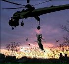 Фотография Товбина Данилы