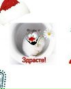 Даня Бабаев фотография #43 (источник - https://vk.com/id147315091)