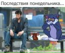 Иван Михеев фотография #27 (источник - https://vk.com/id131487761)
