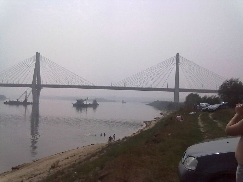 Серёга Сыроежкин фотография #36