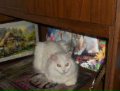 Фотография Пахтусовой Галины