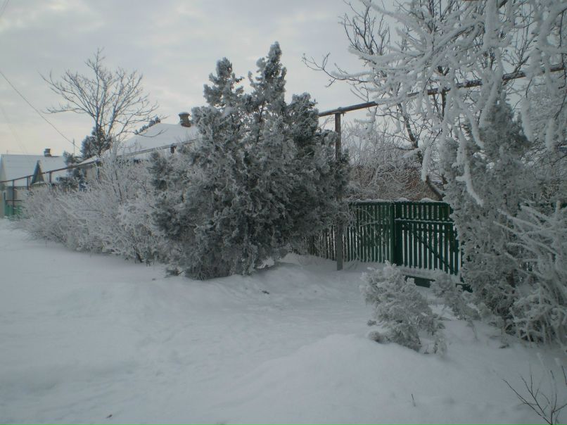 Иван Иванов фотография #21