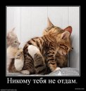 Марія Манжос фотография #25 (источник - https://vk.com/id107562618)