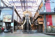 Іра Алексєєнко фотография #34 (источник - https://vk.com/id12864133)