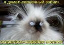 Оля Парій фотография #16 (источник - https://vk.com/id139438952)