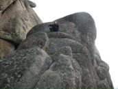 Фотография Старцева Александра