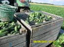 Станіслав Пацанівський фотография #24 (источник - https://vk.com/id138896322)