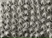 Фотография Васина Антона