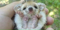 Фотография Станкевич Юлии