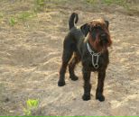 Андрей Ермаков фотография #2 (источник - https://vk.com/id247891)