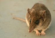 Фотография Зиновьевой Татьяны