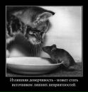 Фотография Ионина Димы