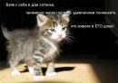 Міша Кузів фотография #23 (источник - https://vk.com/id122480757)