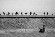 Аліна Малишко фотография #7 (источник - https://vk.com/id41555121)