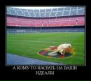 Міша Вознюк фотография #27 (источник - https://vk.com/id34819083)