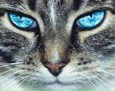 Сергій Семенюк фотография #27 (источник - https://vk.com/id68068199)