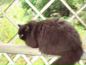 Фотография Хомуськовой Елены