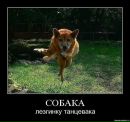 Ростік Білоусов фотография #10 (источник - https://vk.com/id86233901)
