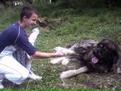 Андрюха Фіцик фотография #46 (источник - https://vk.com/id19240154)