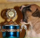 Фотография Дмитриева Димона