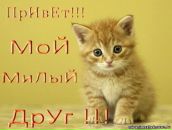 Фотография Дорогова Александра