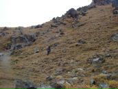 Сергій Кривий фотография #17 (источник - https://vk.com/id49910805)