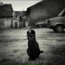 Фотография Романовой Надежды