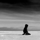 Фотография Смурова Игоря