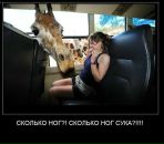 Фотография Фирстова Владимира