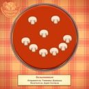 Танюшка Дідицька фотография #27 (источник - https://vk.com/id90688902)