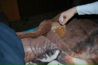 Андрей Рыбкин фотография #31 (источник - https://vk.com/id2490301)