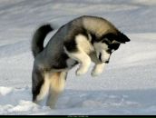 Фотография Зорина Ивана