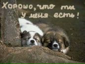 Вероніка Горобець фотография #12 (источник - https://vk.com/id103186440)