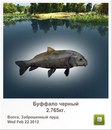 Славік Зайцев фотография #49 (источник - https://vk.com/id97164544)