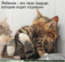Інна Музичка фотография #39 (источник - https://vk.com/id145106324)